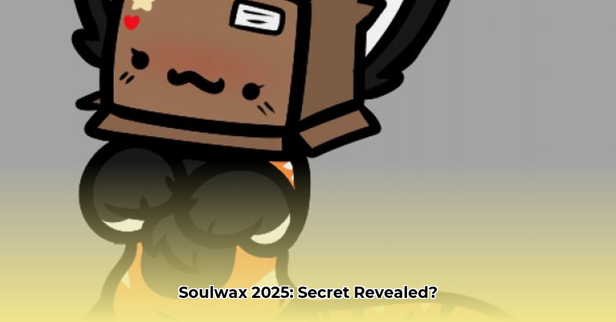 soulwax-best-kept-secret